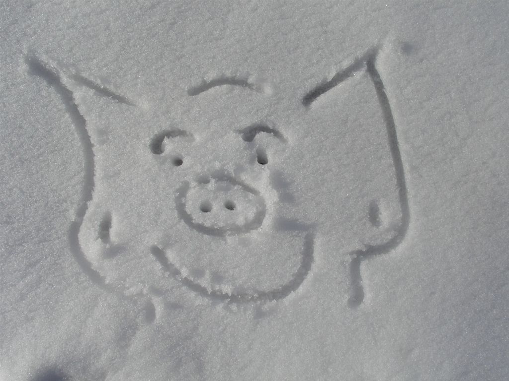 Ein Kunstwerk von Elisabeth, entstanden während eines Kurzurlaubs in den deutschen Alpen.