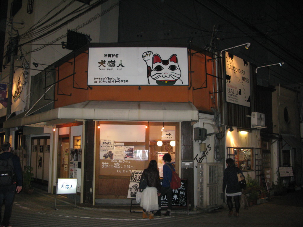 Katzencafé